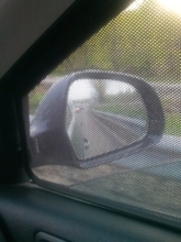 КАРКАСНЫЕ ШТОРКИ 15